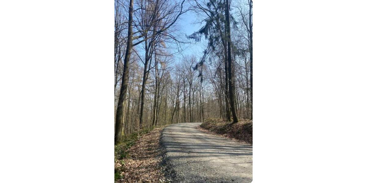 Erdgeschoßwohnung Königswinter - 3 Zimmer, 86 m&sup2;, 1.190&euro; | Angebot:25079981