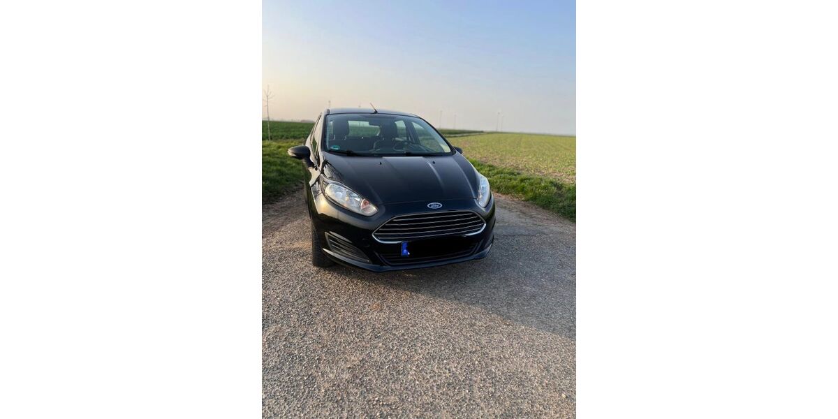 Ford Fiesta 103.000 km 4.199 &euro; Erftstadt 50374
