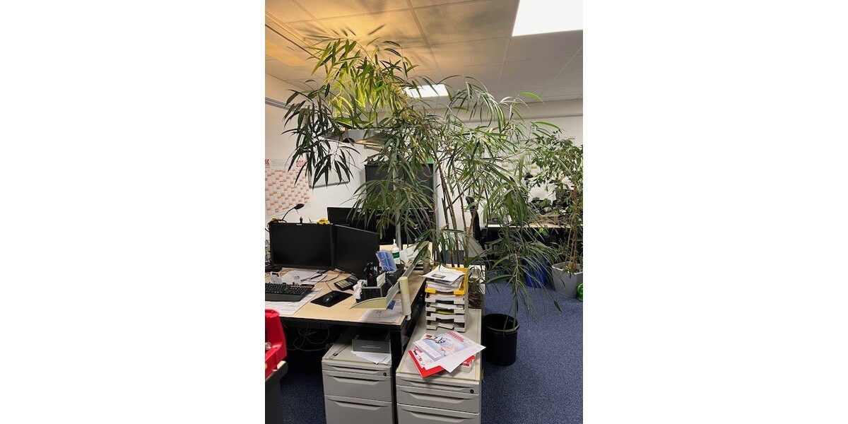 MÖBLIERTE Büroräume: Gepflegte Fläche in zentraler Lage ***PROVISIONSFREI*** - Gewerbeobjekt Königswinter | Angebot:16883088