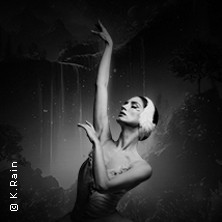 Grand Classic Ballet - Schwanensee - Jenseits der Bühne mit live Streichquartett 14.06.2026 Steigenberger Hotel Bad Neuenahr