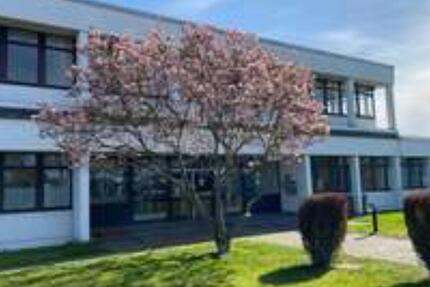 Gewerbeobjekt Kerpen Buir - 238&euro; | Angebot:20665126