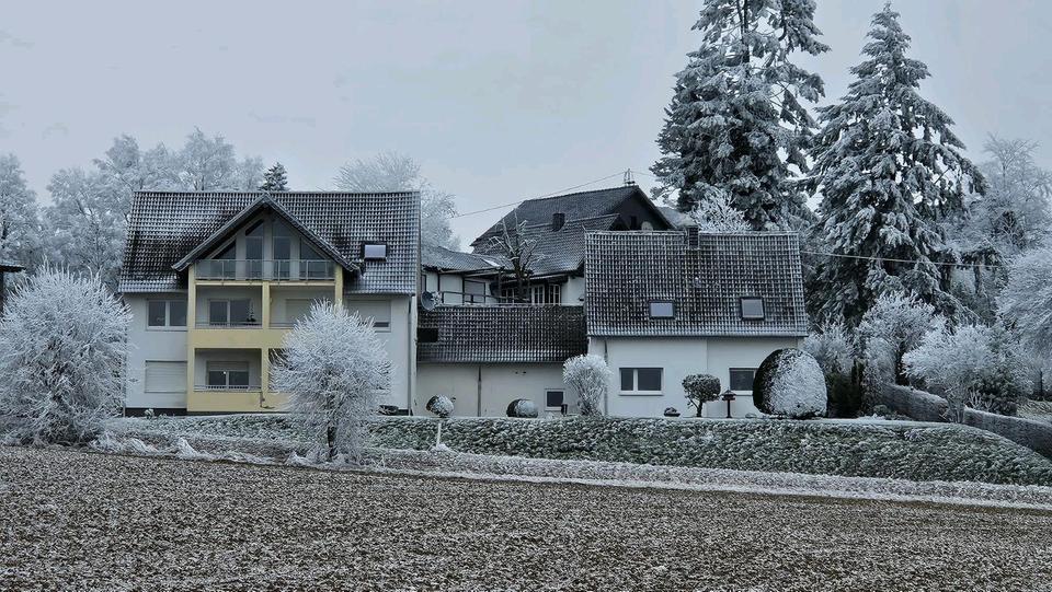 Erdgeschoßwohnung Mechernich - 2 Zimmer, 69 m&sup2;, 600&euro; | Angebot:24764491