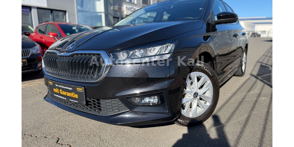 Skoda Fabia 60.000 km 13.390 &euro; Kall 53925