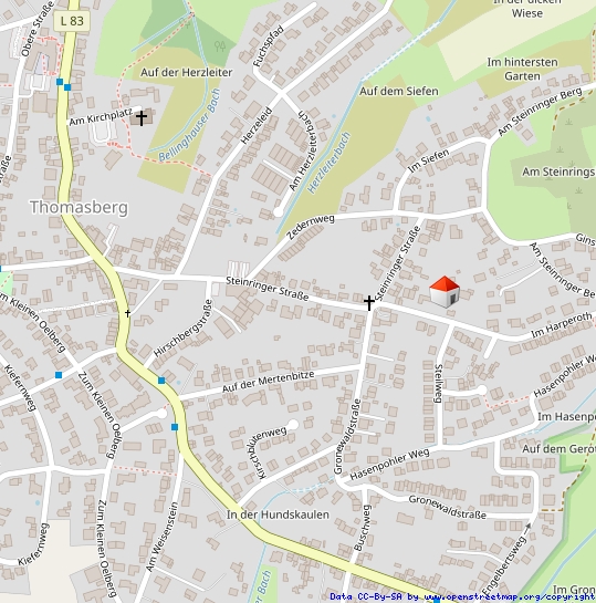 1.100 m² Grundstück, 6-7 Zimmer & Sauna - Einfamilienhaus mit viel Platz in Königswinter - Einfamilienhaus Königswinter | Angebot:23002838