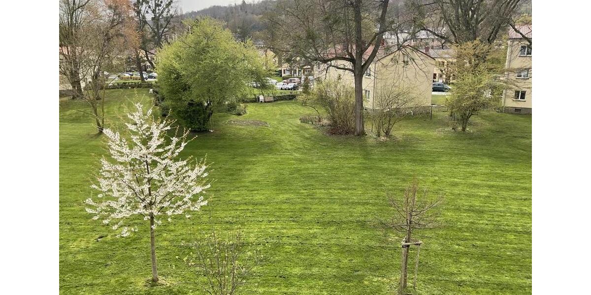 Etagenwohnung Bonn Gronau - 3 Zimmer, 60 m&sup2;, 740&euro; | Angebot:26022888