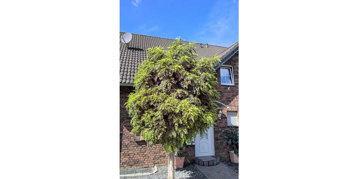 Doppelhaushälfte Zülpich - 5 Zimmer, 150 m&sup2;, 449.000&euro; | Angebot:25204716