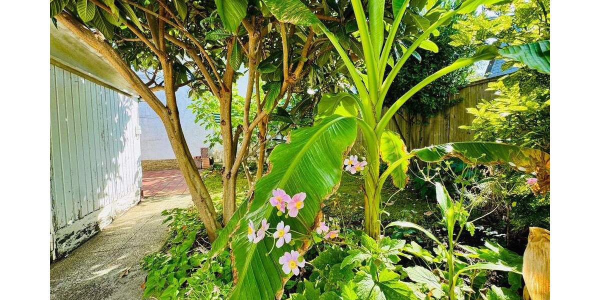 Einfamilienhaus Bonn Beuel - 4 Zimmer, 85 m&sup2;, 499.000&euro; | Angebot:25778945