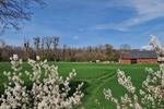 Bauernhaus, Landhaus Vettweiß - 7 Zimmer, 238 m&sup2;, 785.000&euro; | Angebot:26152345