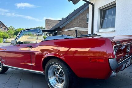 Ford Mustang 72.000 km 42.500 &euro; Bonn 53177