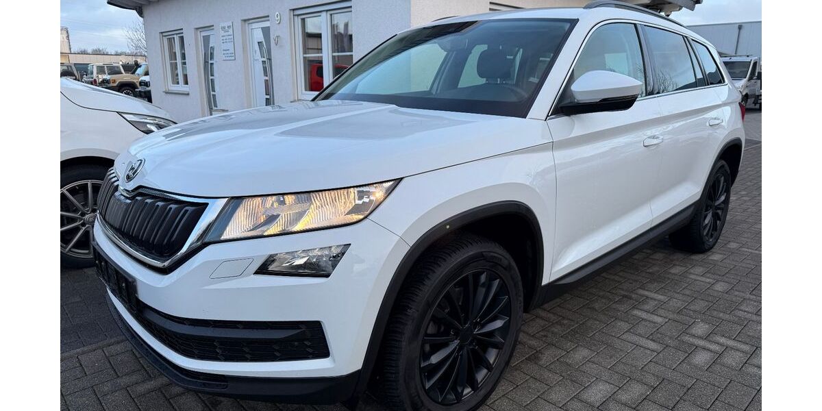 Skoda Kodiaq 189.645 km 13.999 &euro; Rheinbach 53359