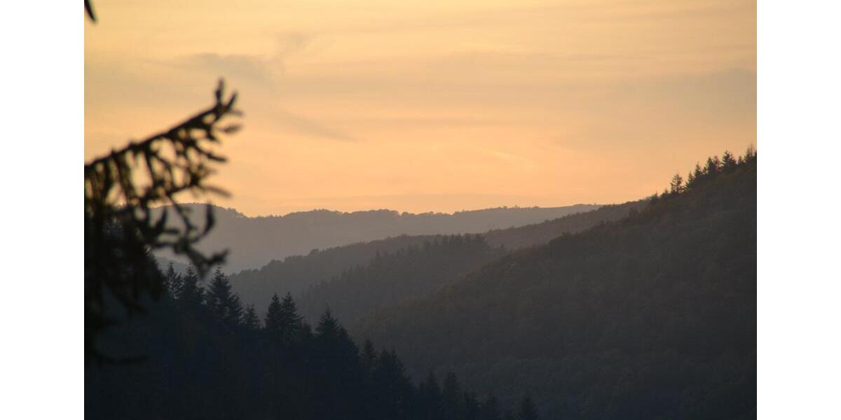 Einfamilienhaus Schuld - 169.000&euro; | Angebot:24295359