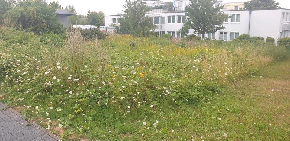 Gewerbeobjekt Bonn Bad Godesberg - 2.500&euro; | Angebot:13342534