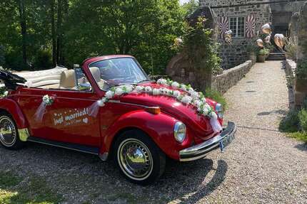 VW Käfer 63.000 km 14.999 &euro; Alfter 53347