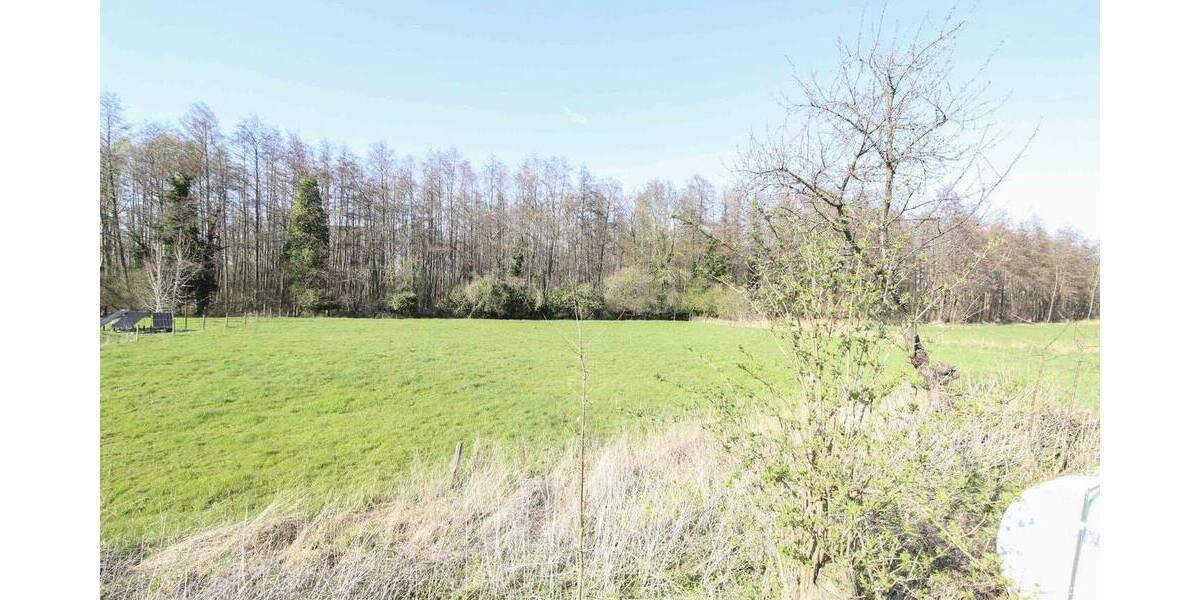 Einfamilienhaus Zülpich Juntersdorf - 4 Zimmer, 319.000&euro; | Angebot:26710192