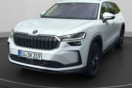 Skoda Kodiaq 18.350 km 38.990 &euro; Euskirchen 53879