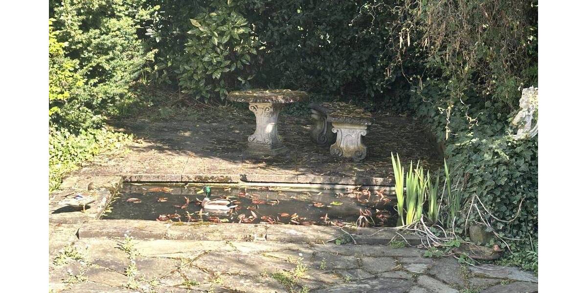 Einfamilienhaus Düren - 7 Zimmer, 265 m&sup2;, 849.000&euro; | Angebot:26435831