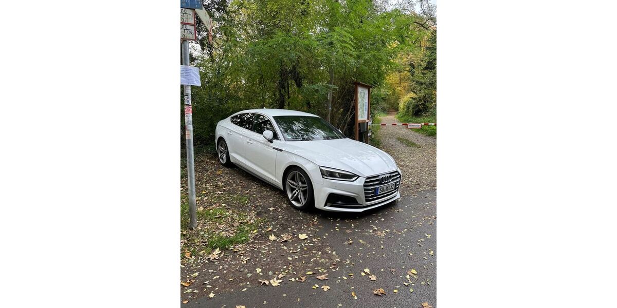 Audi A5 139.000 km 21.490 &euro; Bornheim 53332