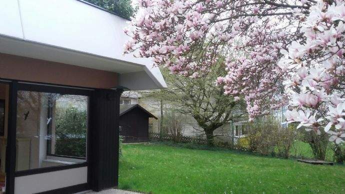 Terrassenwohnung Bonn Lannesdorf - 3 Zimmer, 151 m&sup2;, 2.195&euro; | Angebot:25666895