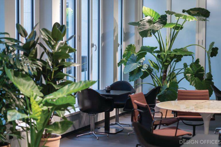 Gewerbeobjekt Bonn Zentrum - 2.400&euro; | Angebot:25865332