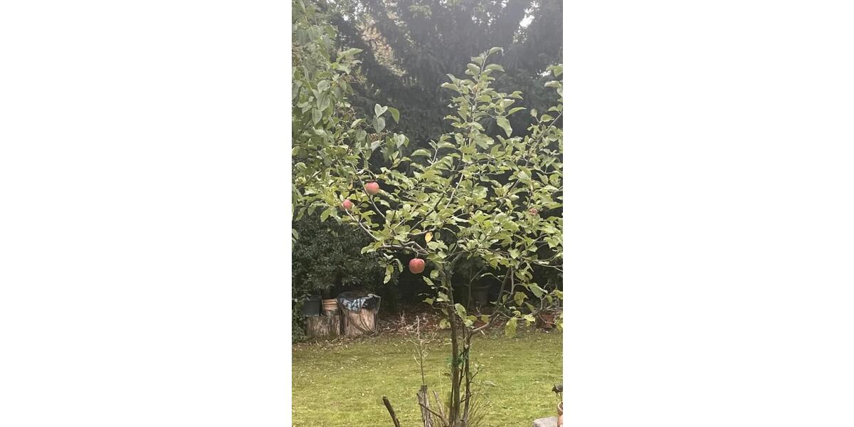 Hochparterre Bonn Lannesdorf - 2 Zimmer, 58 m&sup2;, 265.000&euro; | Angebot:25966348