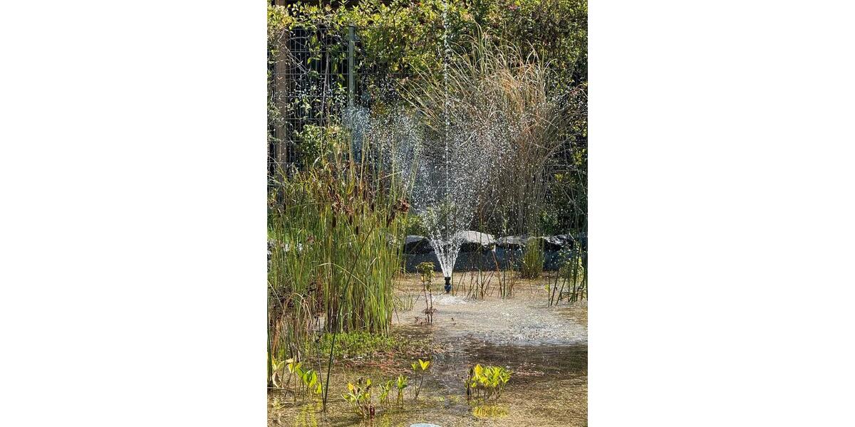 Bungalow Hönningen - 3 Zimmer, 50 m&sup2;, 52.900&euro; | Angebot:24841084