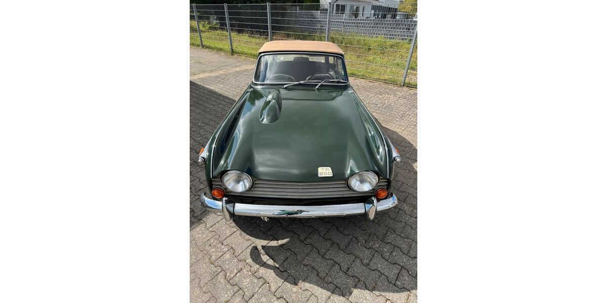 Triumph TR5 4.137 km 29.950 &euro; Mechernich 53894