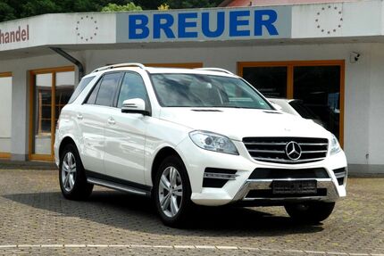 Mercedes-Benz ML 350 173.500 km 15.880 &euro; Schleiden 53937