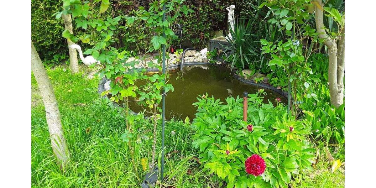 Mehrfamilienhaus, Wohnhaus Kerpen Horrem - 8 Zimmer, 170 m&sup2;, 529.000&euro; | Angebot:25782124