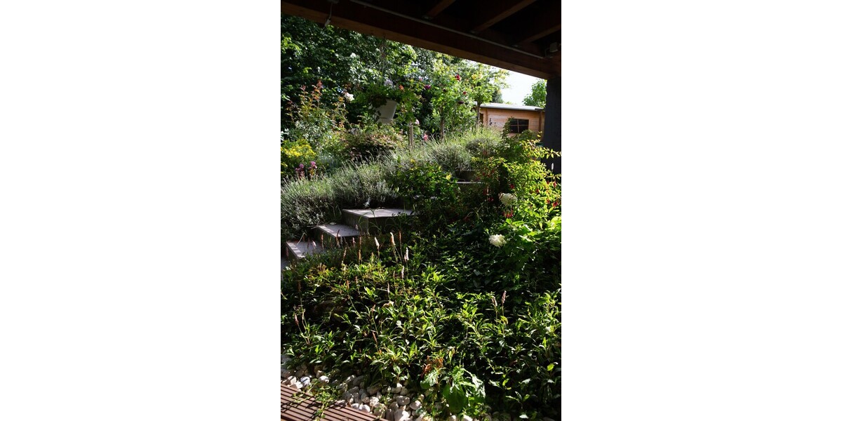 Direkt am Naturschutzgebiet! Modernes Haus mit Einliegerwohnung, Aufzug und vielen Extras! - Einfamilienhaus Königswinter | Angebot:24598297