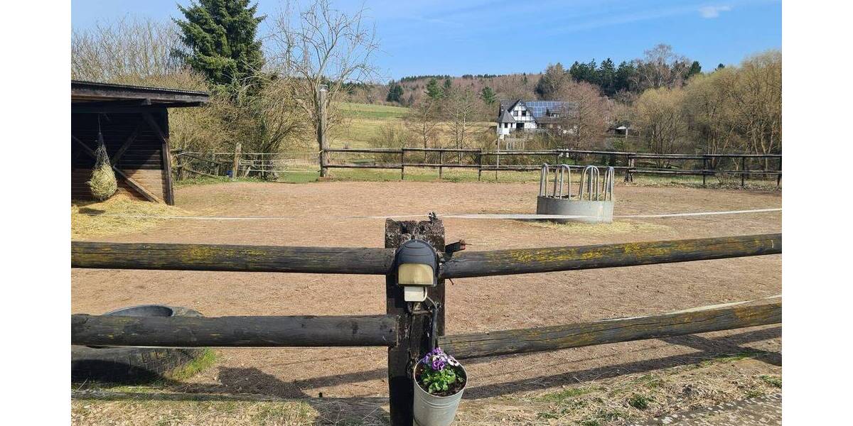 Einfamilienhaus Blankenheim Mülheim - 4 Zimmer, 158 m&sup2;, 485.000&euro; | Angebot:26036781