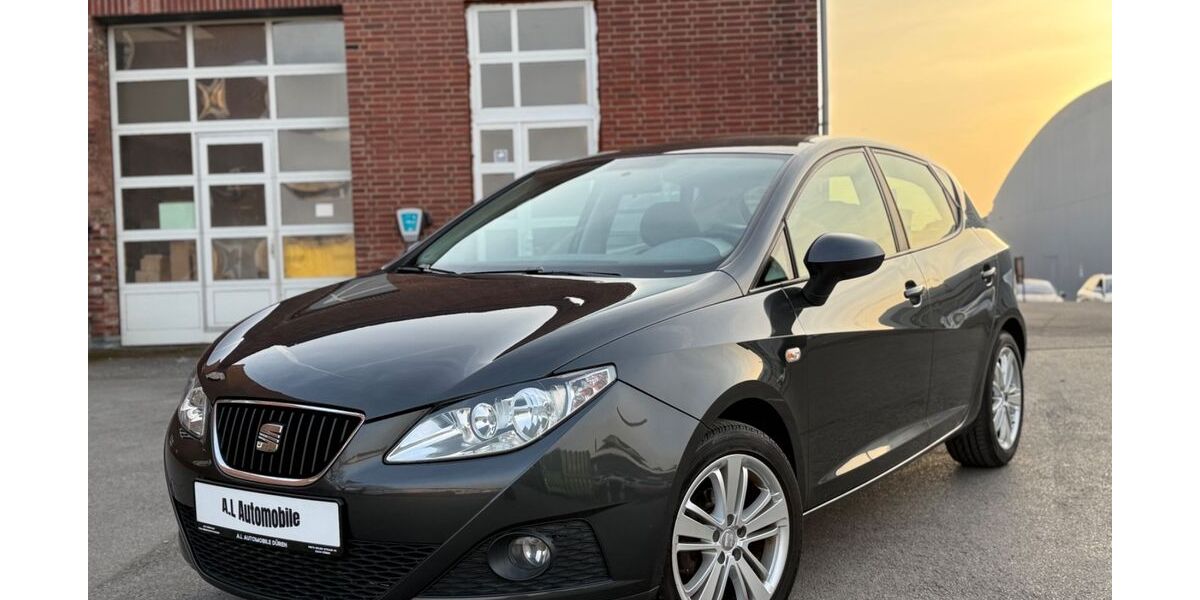 Seat Ibiza 119.077 km 4.495 &euro; Düren 52349