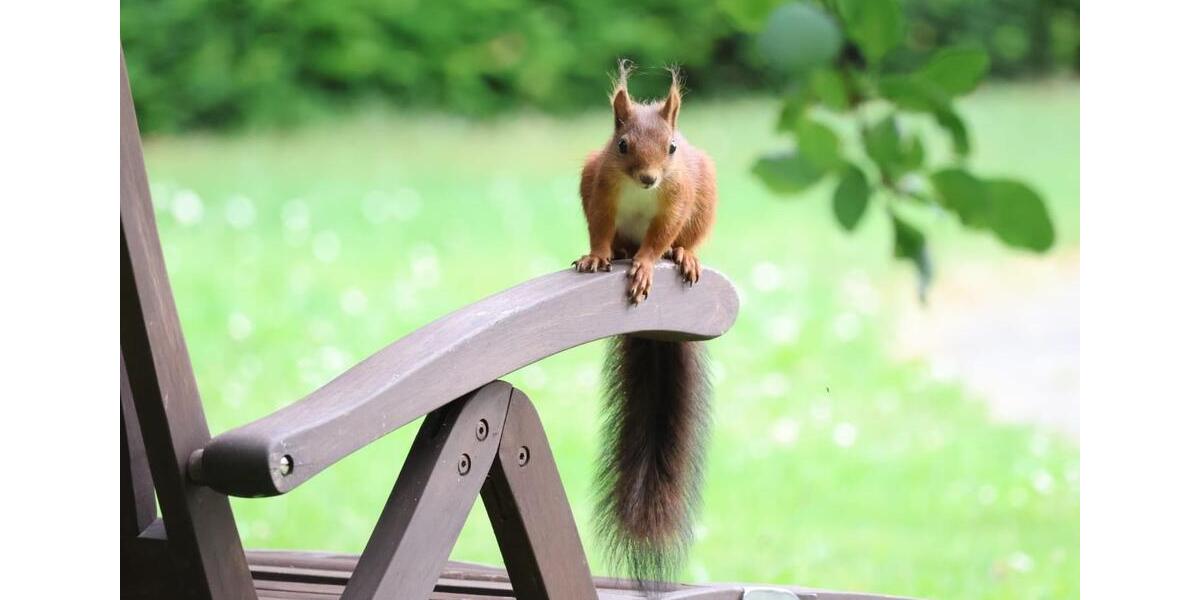 Einfamilienhaus Nideggen - 6 Zimmer, 191 m&sup2;, 384.000&euro; | Angebot:25982509