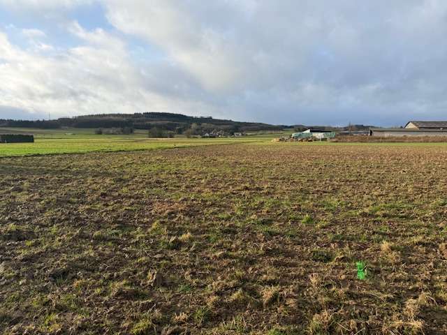 Grundstück Grafschaft-Esch Esch - 138.800&euro; | Angebot:24626680