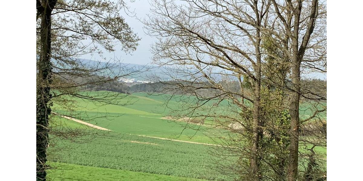 Einfamilienhaus Euskirchen Dom-Esch - 5 Zimmer, 115 m&sup2;, 525.000&euro; | Angebot:26112533