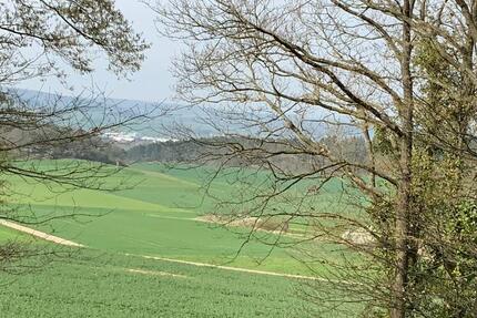 Haus Euskirchen Dom-Esch - 5 Zimmer, 115 m&sup2;, 525.000&euro; | Angebot:26112533