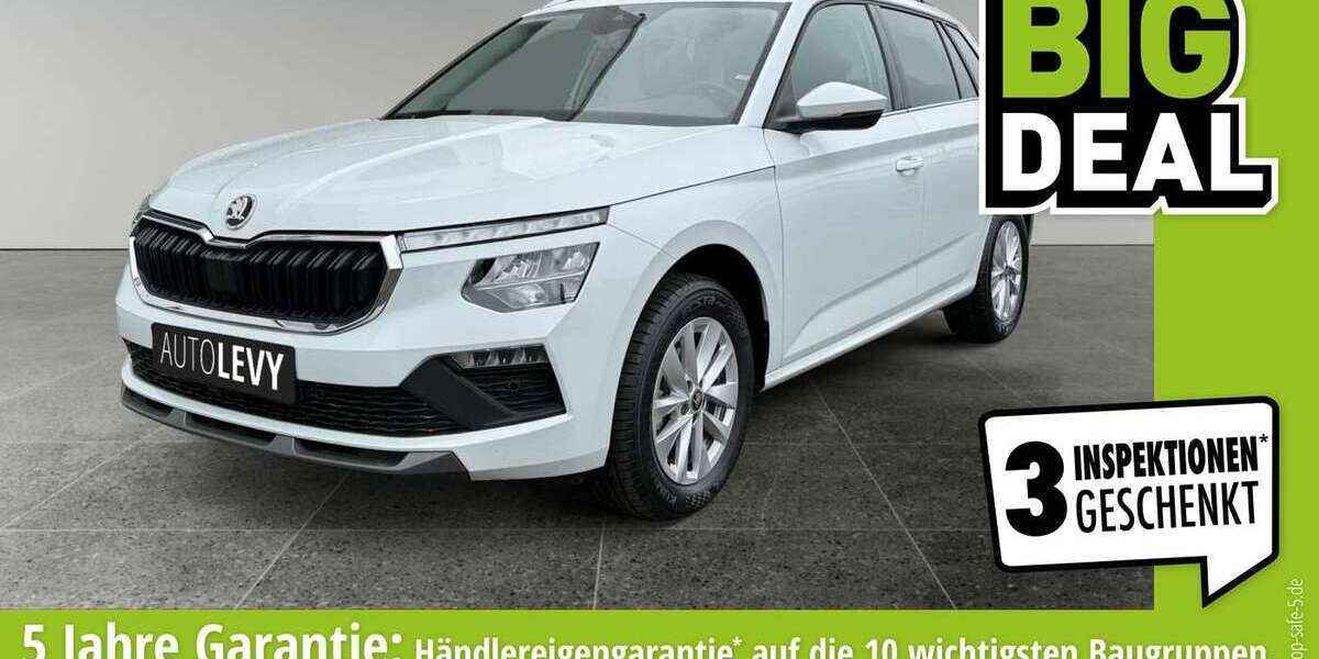 Skoda Kamiq 29.043 km 19.970 &euro; Euskirchen 53881