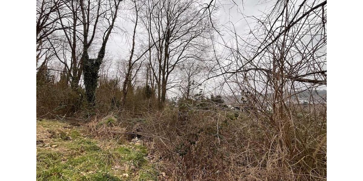 Grundstück Bad Neuenahr-Ahrweiler Ahrweiler - 1.250.000&euro; | Angebot:20448345