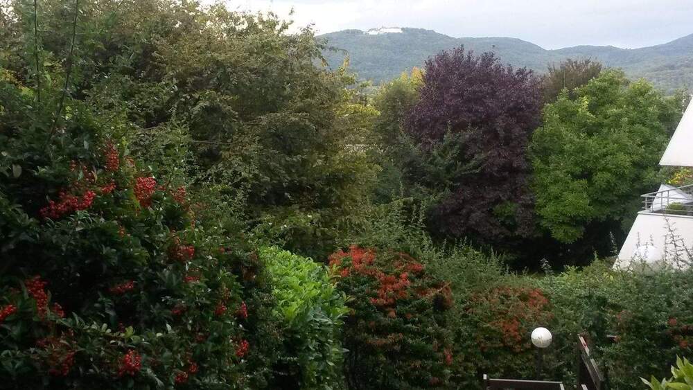 Bungalow Bonn Lannesdorf - 3 Zimmer, 151 m&sup2;, 637.000&euro; | Angebot:25666902