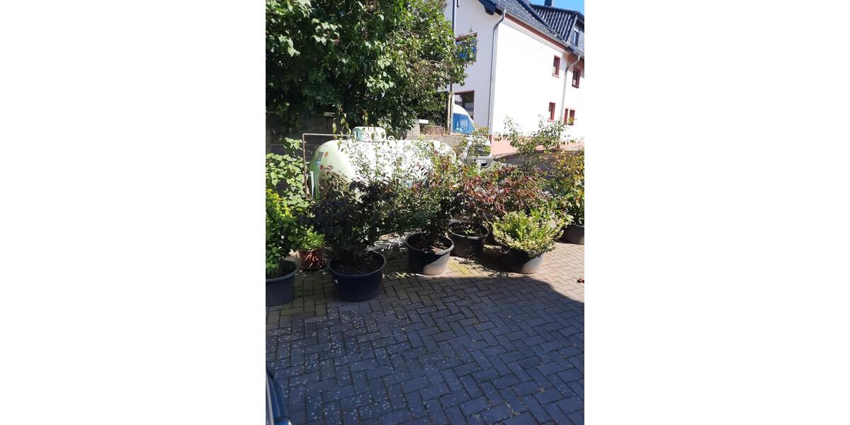 Erdgeschoßwohnung Schuld - 2 Zimmer, 45 m&sup2;, 450&euro; | Angebot:25980186