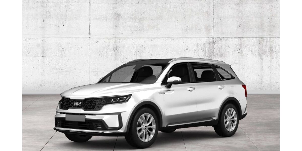 Kia Sorento 22.233 km 56.990 &euro; Düren 52353