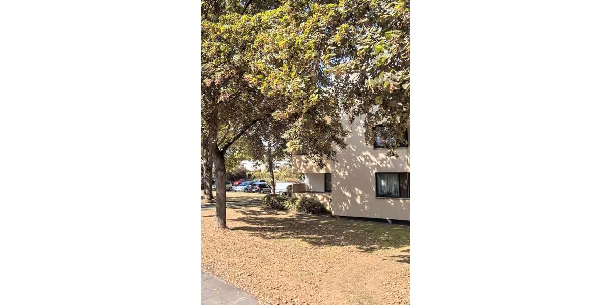 Erdgeschoßwohnung Meckenheim - 1 Zimmer, 40 m&sup2;, 125.000&euro; | Angebot:25168719