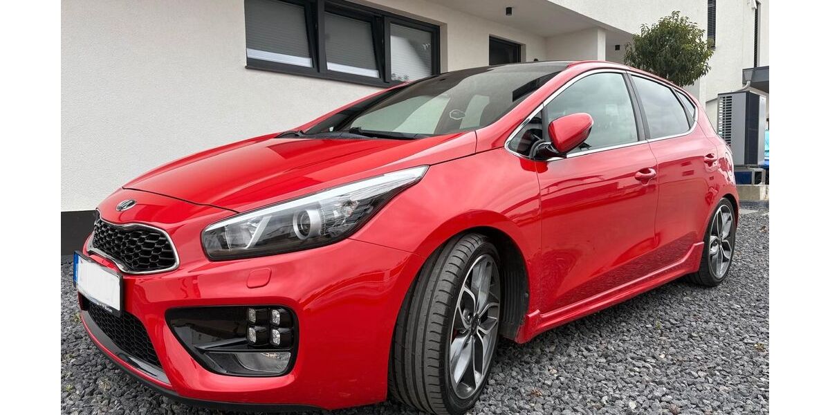 Kia ceed / Ceed 142.000 km 11.500 &euro; Nörvenich 52388