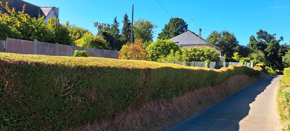 Einfamilienhaus Bonn Bad Godesberg - 175.000&euro; | Angebot:21566817