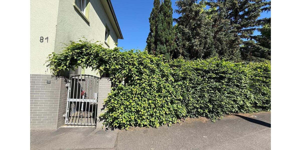 Mehrfamilienhaus, Wohnhaus Bonn Friesdorf - 6 Zimmer, 135 m&sup2;, 469.000&euro; | Angebot:26720824