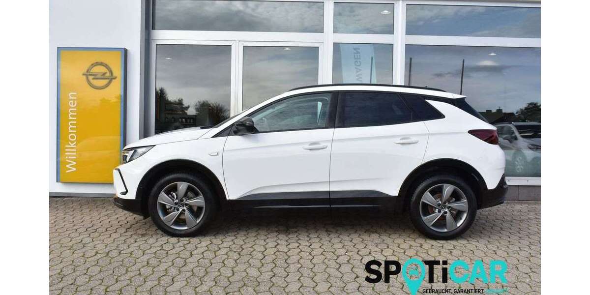 Opel Grandland X 16.930 km 22.900 &euro; Grafschaft-Ringen 53501
