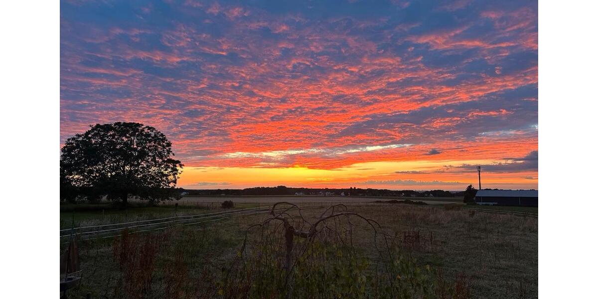 Einfamilienhaus Königswinter - 6 Zimmer, 260 m&sup2;, 875.000&euro; | Angebot:25635866