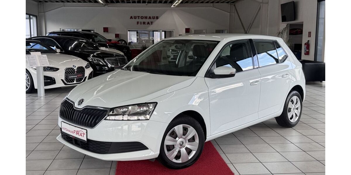 Skoda Fabia 139.923 km 8.949 &euro; Erftstadt / Köln 50374